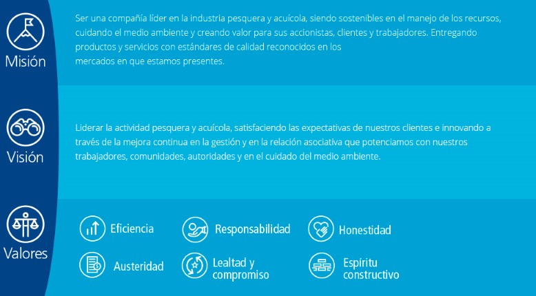 somos blumar
